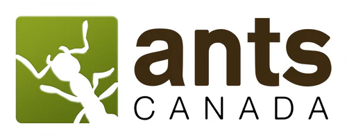 AntsCanada